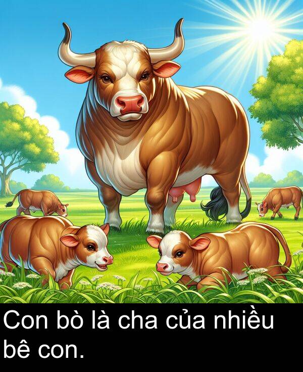 của: Con bò là cha của nhiều bê con.