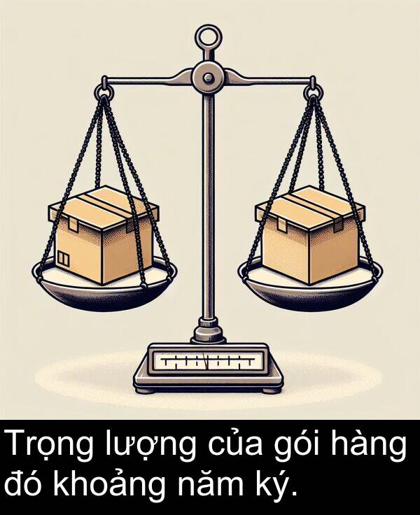 hàng: Trọng lượng của gói hàng đó khoảng năm ký.