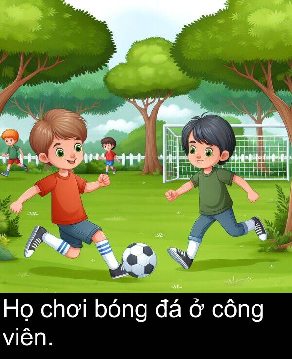 bóng: Họ chơi bóng đá ở công viên.