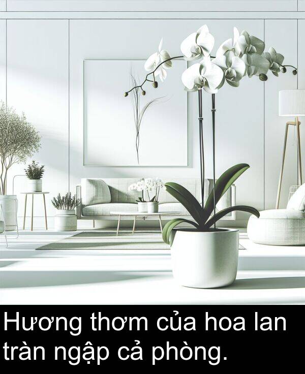 tràn: Hương thơm của hoa lan tràn ngập cả phòng.