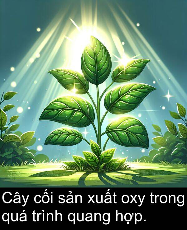 oxy: Cây cối sản xuất oxy trong quá trình quang hợp.