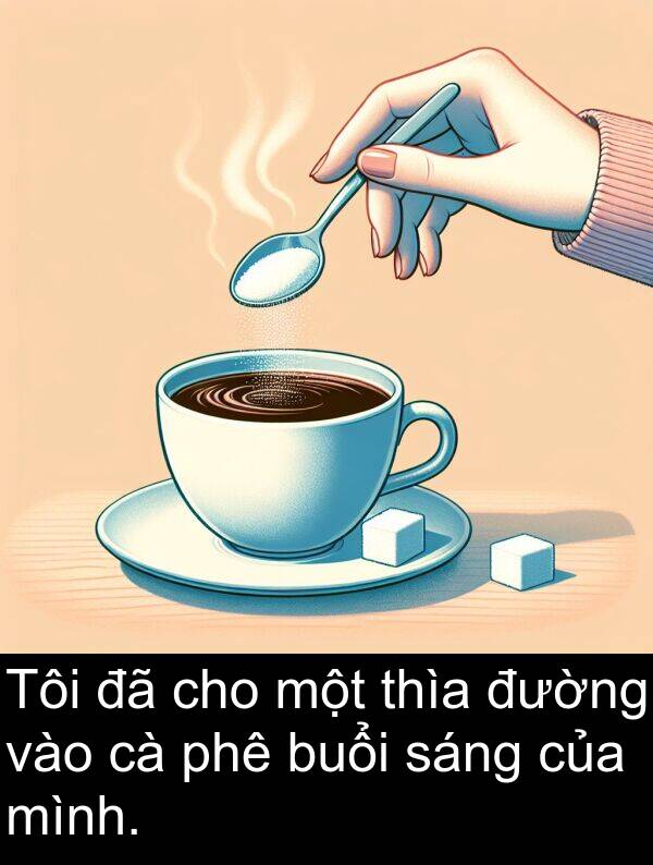 buổi: Tôi đã cho một thìa đường vào cà phê buổi sáng của mình.