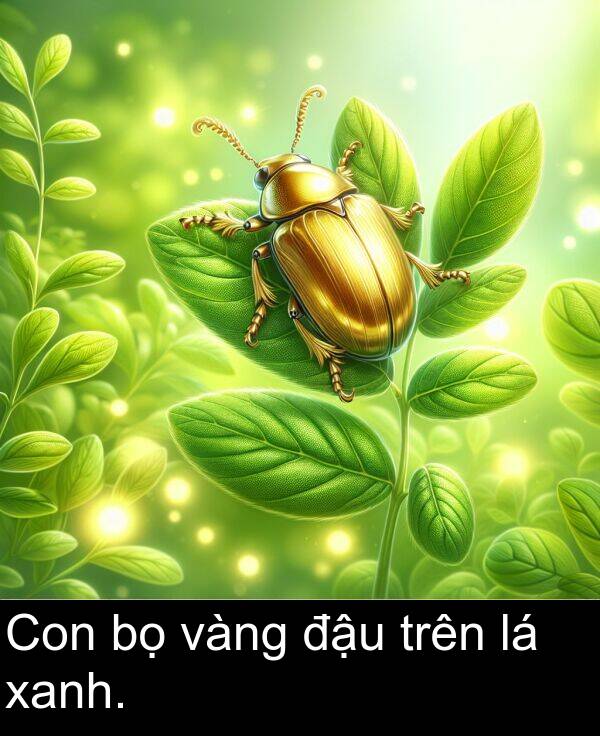 đậu: Con bọ vàng đậu trên lá xanh.