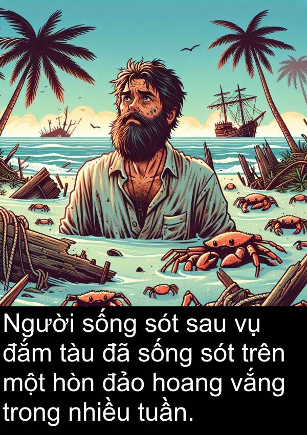 đắm: Người sống sót sau vụ đắm tàu đã sống sót trên một hòn đảo hoang vắng trong nhiều tuần.