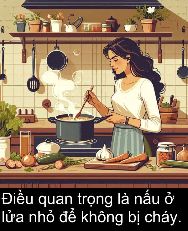 lửa: Điều quan trọng là nấu ở lửa nhỏ để không bị cháy.