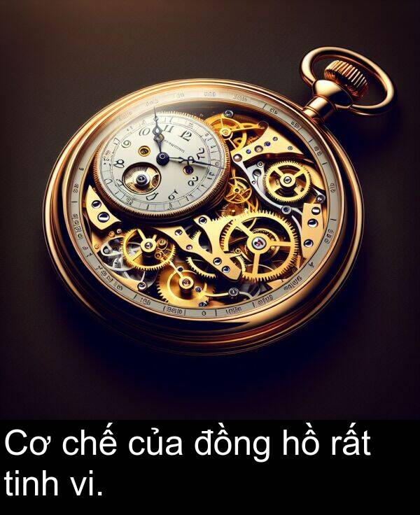 rất: Cơ chế của đồng hồ rất tinh vi.