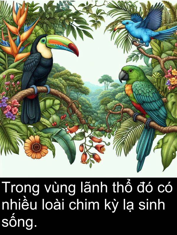 vùng: Trong vùng lãnh thổ đó có nhiều loài chim kỳ lạ sinh sống.