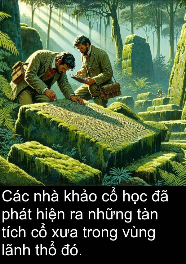 vùng: Các nhà khảo cổ học đã phát hiện ra những tàn tích cổ xưa trong vùng lãnh thổ đó.