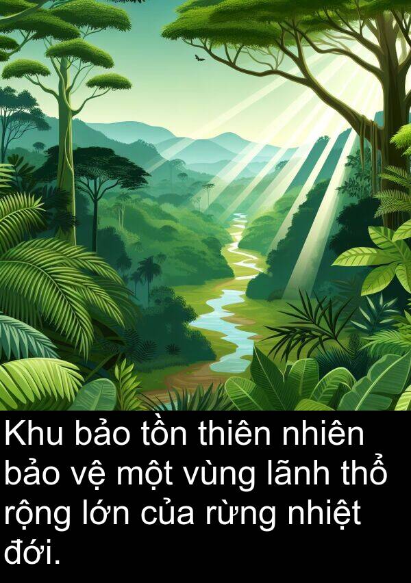 vùng: Khu bảo tồn thiên nhiên bảo vệ một vùng lãnh thổ rộng lớn của rừng nhiệt đới.