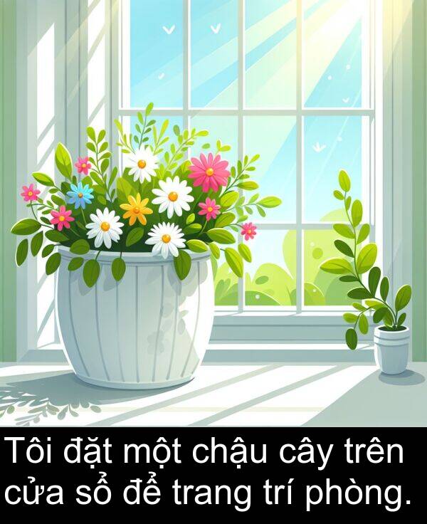đặt: Tôi đặt một chậu cây trên cửa sổ để trang trí phòng.