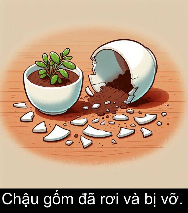 vỡ: Chậu gốm đã rơi và bị vỡ.