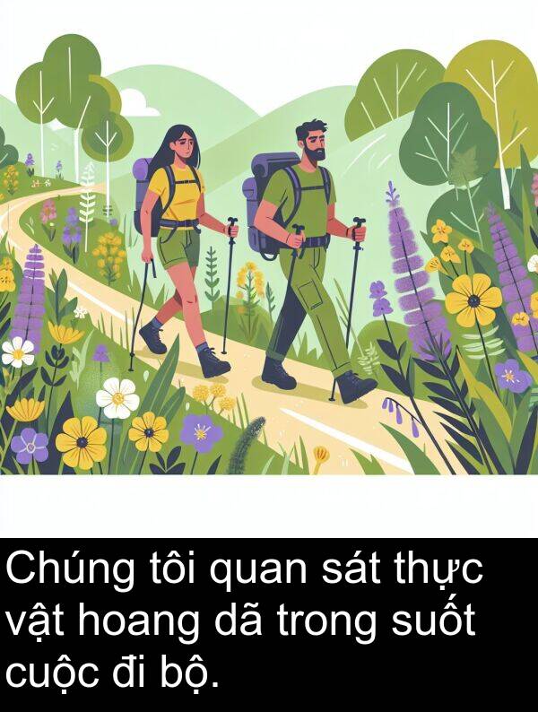 hoang: Chúng tôi quan sát thực vật hoang dã trong suốt cuộc đi bộ.