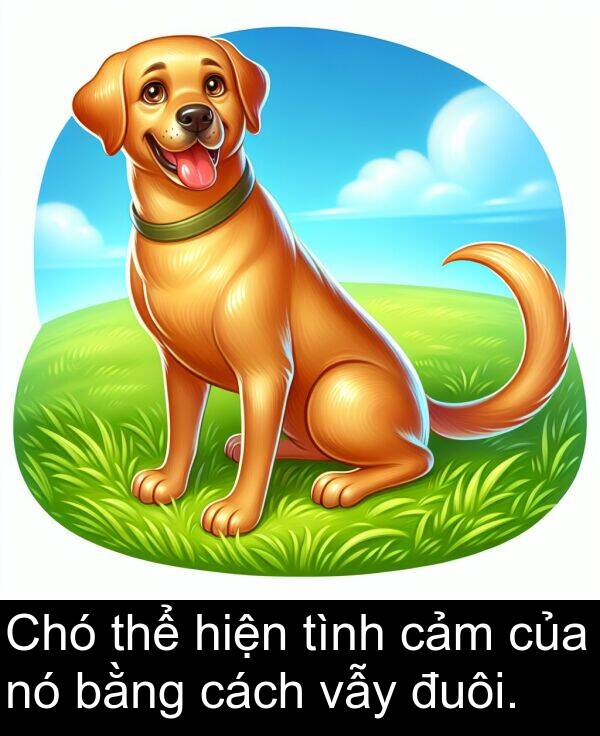 đuôi: Chó thể hiện tình cảm của nó bằng cách vẫy đuôi.