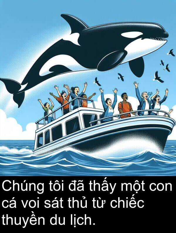 thủ: Chúng tôi đã thấy một con cá voi sát thủ từ chiếc thuyền du lịch.