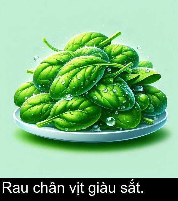 vịt: Rau chân vịt giàu sắt.