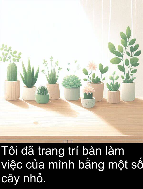 việc: Tôi đã trang trí bàn làm việc của mình bằng một số cây nhỏ.