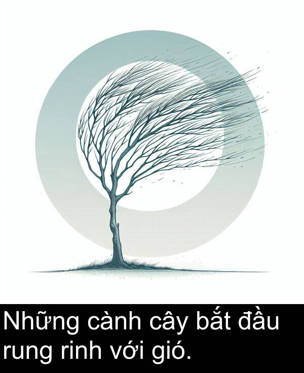 đầu: Những cành cây bắt đầu rung rinh với gió.