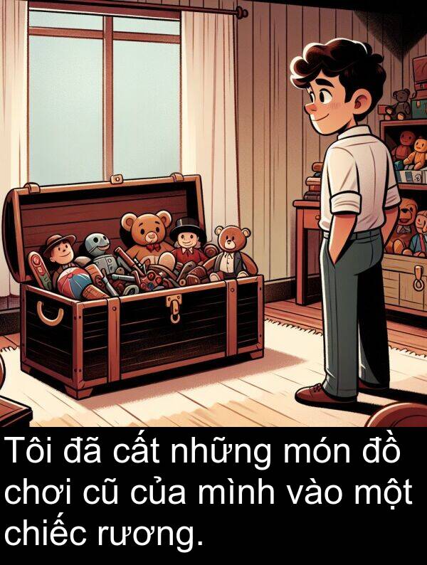 món: Tôi đã cất những món đồ chơi cũ của mình vào một chiếc rương.