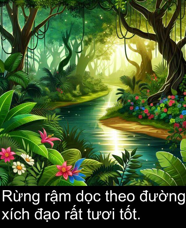 đạo: Rừng rậm dọc theo đường xích đạo rất tươi tốt.