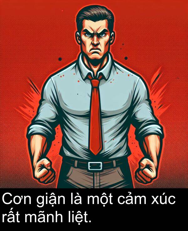 liệt: Cơn giận là một cảm xúc rất mãnh liệt.