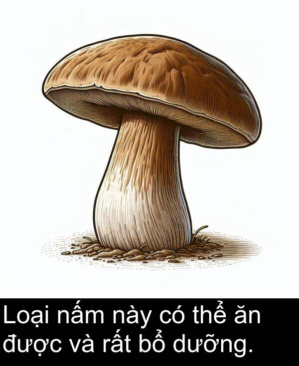 được: Loại nấm này có thể ăn được và rất bổ dưỡng.