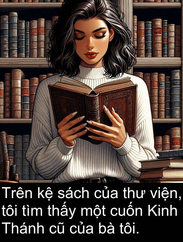 viện: Trên kệ sách của thư viện, tôi tìm thấy một cuốn Kinh Thánh cũ của bà tôi.
