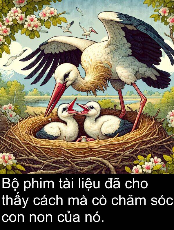 phim: Bộ phim tài liệu đã cho thấy cách mà cò chăm sóc con non của nó.