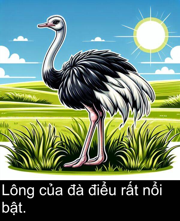 điểu: Lông của đà điểu rất nổi bật.