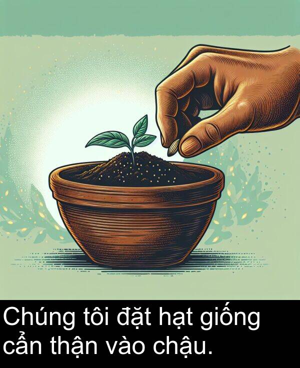 đặt: Chúng tôi đặt hạt giống cẩn thận vào chậu.