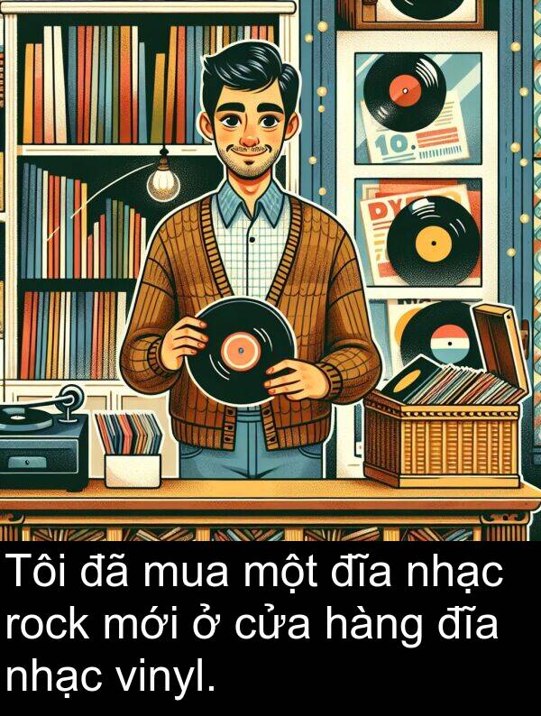 đĩa: Tôi đã mua một đĩa nhạc rock mới ở cửa hàng đĩa nhạc vinyl.