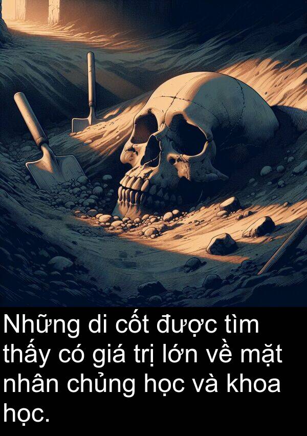 cốt: Những di cốt được tìm thấy có giá trị lớn về mặt nhân chủng học và khoa học.