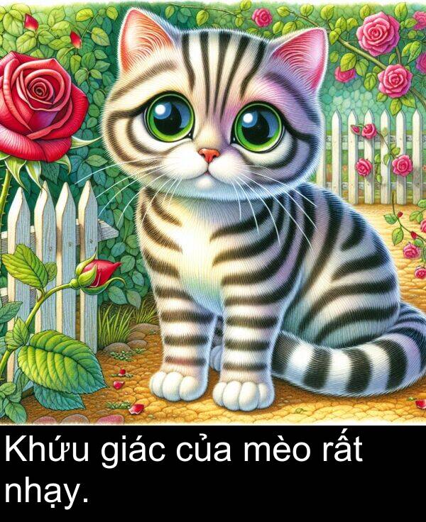 rất: Khứu giác của mèo rất nhạy.