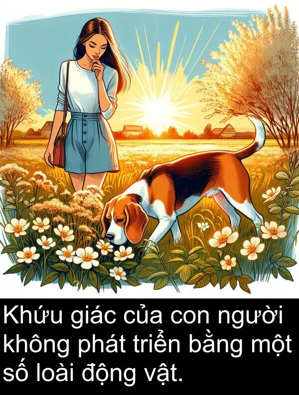 phát: Khứu giác của con người không phát triển bằng một số loài động vật.