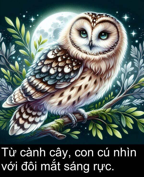 đôi: Từ cành cây, con cú nhìn với đôi mắt sáng rực.