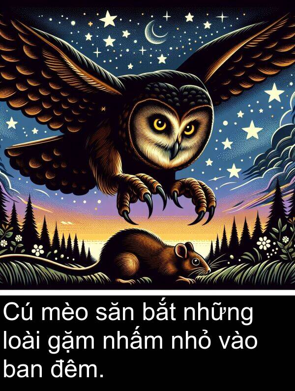 đêm: Cú mèo săn bắt những loài gặm nhấm nhỏ vào ban đêm.