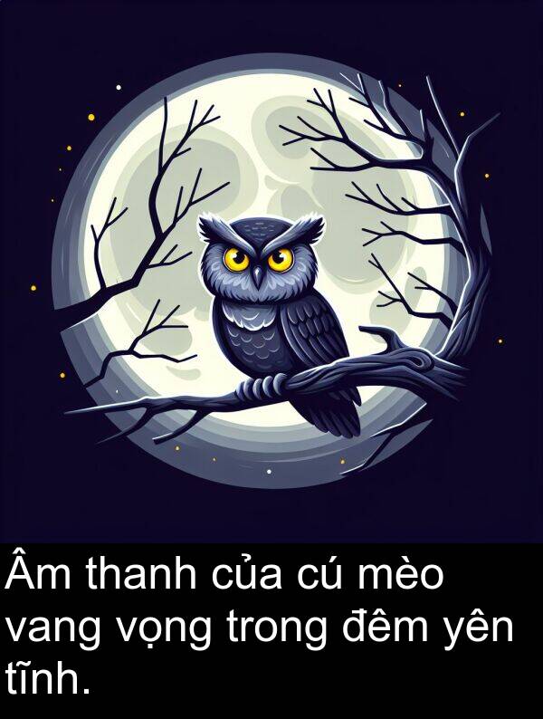 đêm: Âm thanh của cú mèo vang vọng trong đêm yên tĩnh.
