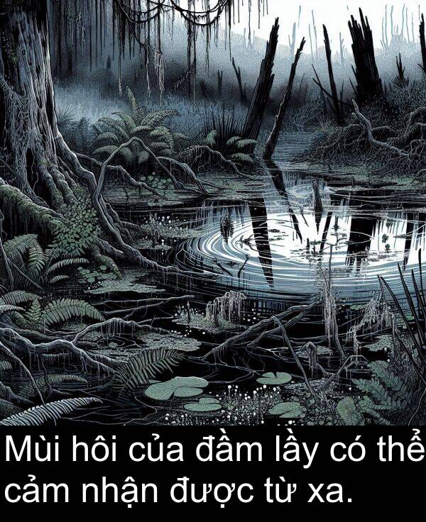 đầm: Mùi hôi của đầm lầy có thể cảm nhận được từ xa.