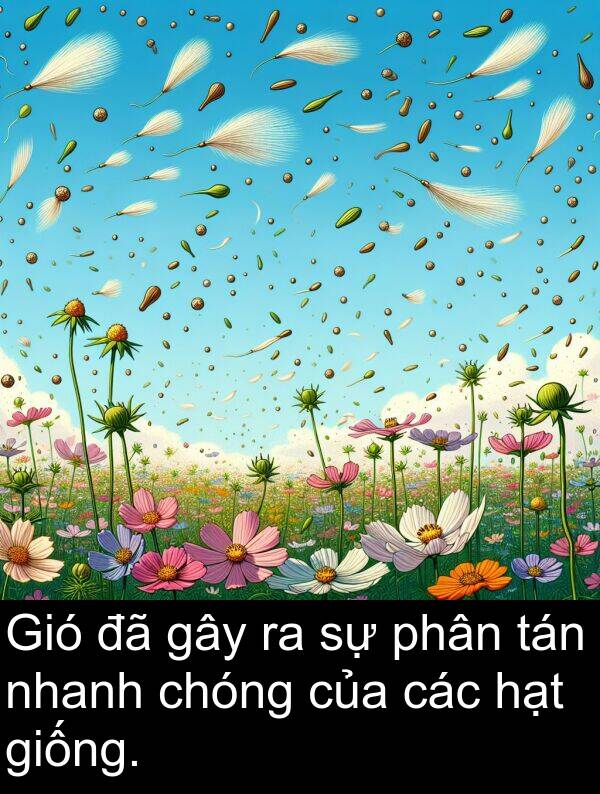 hạt: Gió đã gây ra sự phân tán nhanh chóng của các hạt giống.