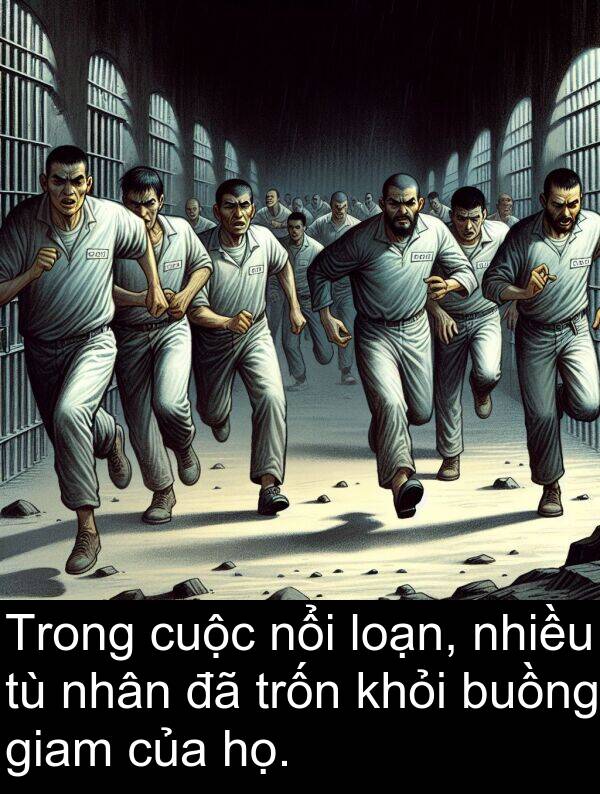 loạn: Trong cuộc nổi loạn, nhiều tù nhân đã trốn khỏi buồng giam của họ.