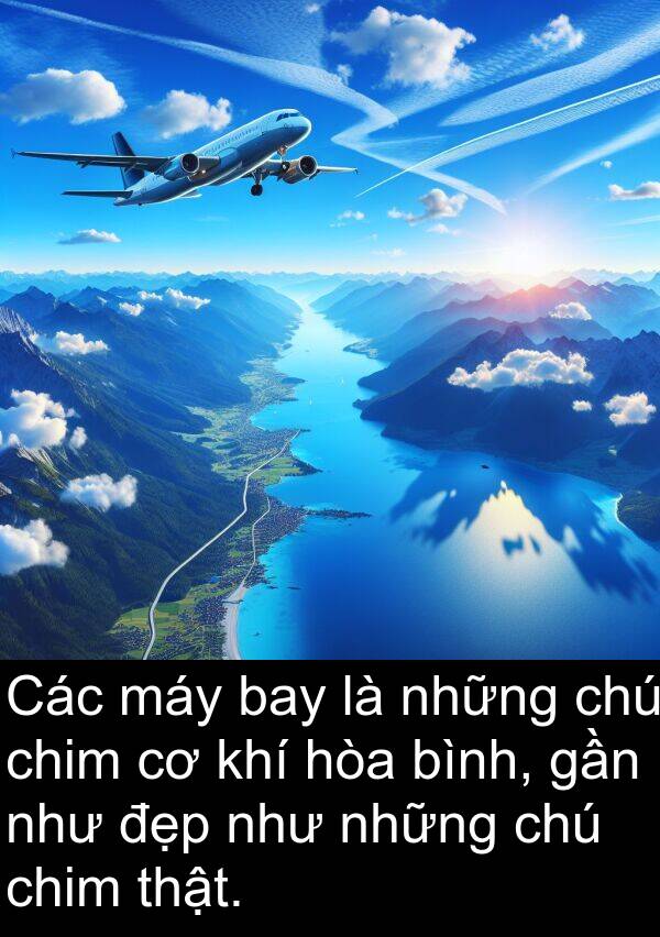 chú: Các máy bay là những chú chim cơ khí hòa bình, gần như đẹp như những chú chim thật.