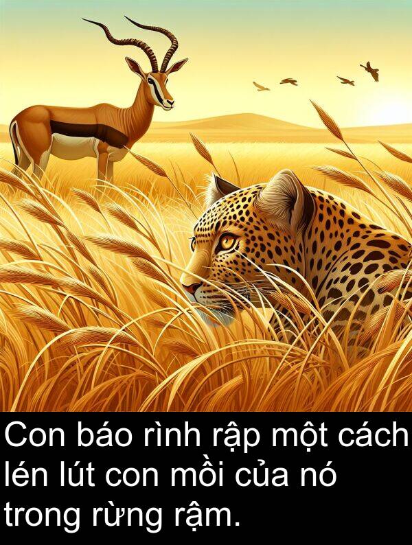 mồi: Con báo rình rập một cách lén lút con mồi của nó trong rừng rậm.
