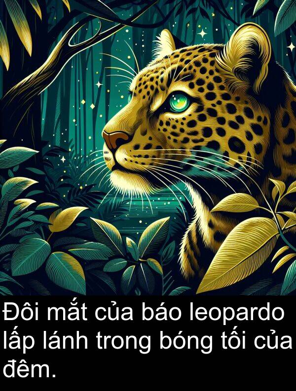 bóng: Đôi mắt của báo leopardo lấp lánh trong bóng tối của đêm.