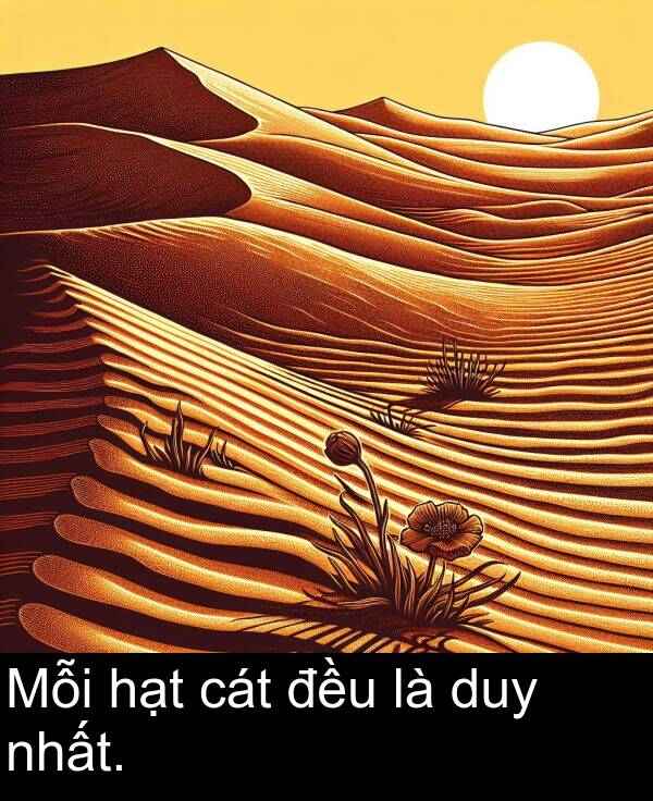hạt: Mỗi hạt cát đều là duy nhất.