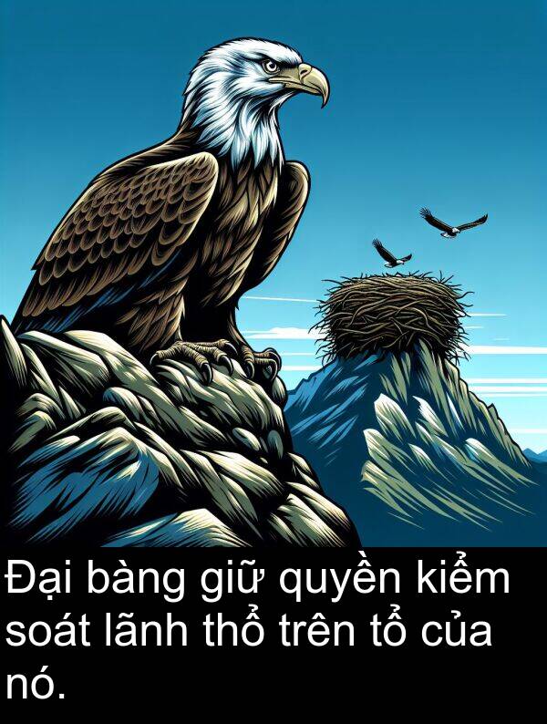 bàng: Đại bàng giữ quyền kiểm soát lãnh thổ trên tổ của nó.