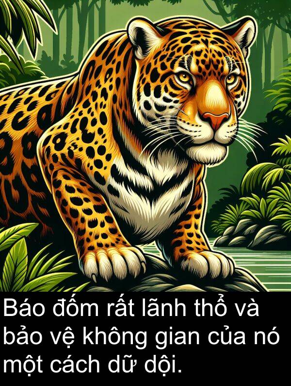 đốm: Báo đốm rất lãnh thổ và bảo vệ không gian của nó một cách dữ dội.