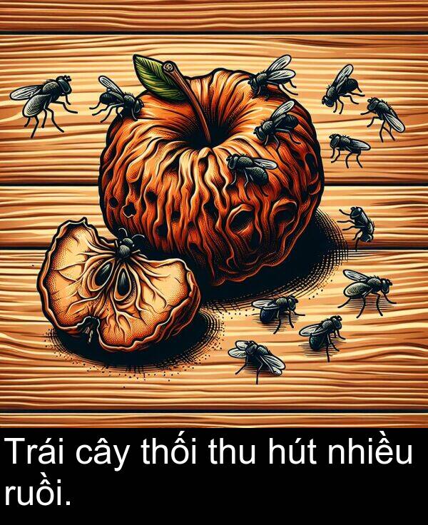 nhiều: Trái cây thối thu hút nhiều ruồi.