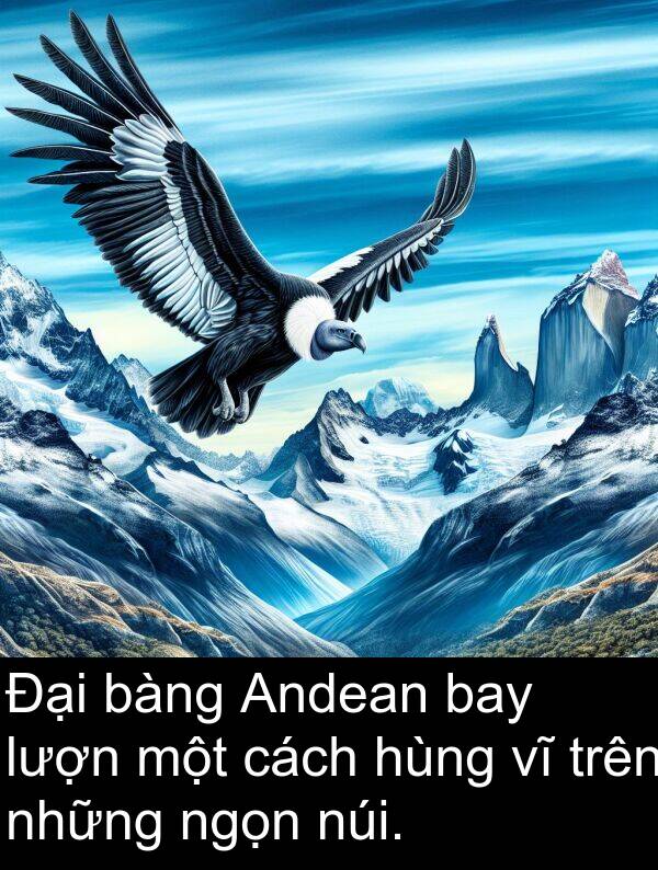 bàng: Đại bàng Andean bay lượn một cách hùng vĩ trên những ngọn núi.