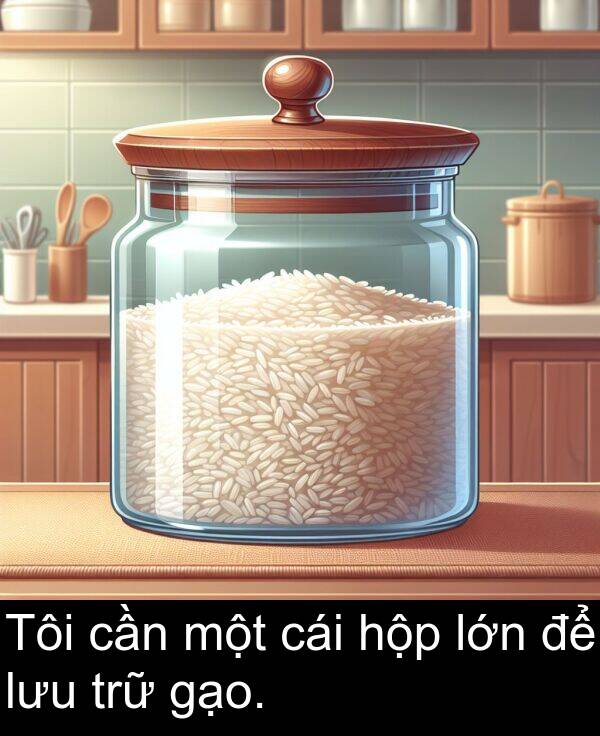 hộp: Tôi cần một cái hộp lớn để lưu trữ gạo.