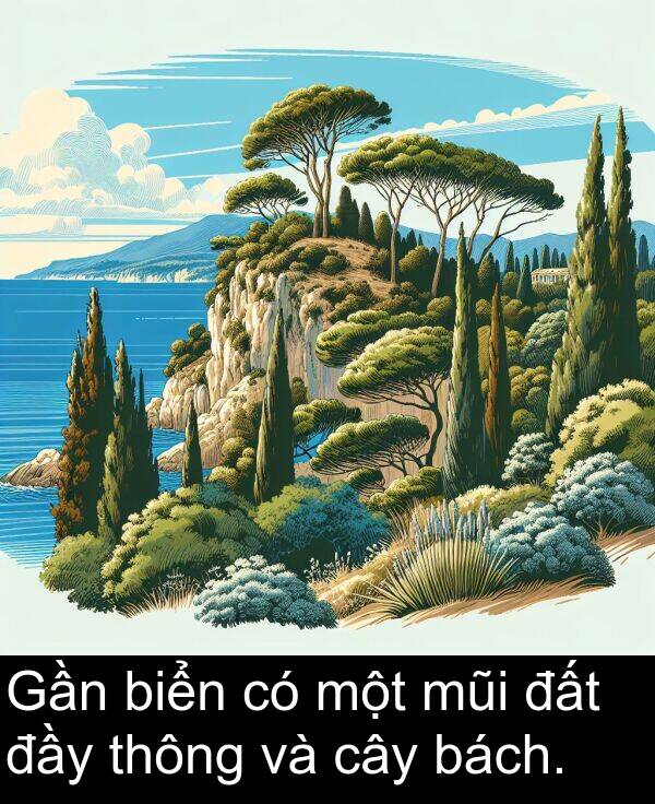 đầy: Gần biển có một mũi đất đầy thông và cây bách.