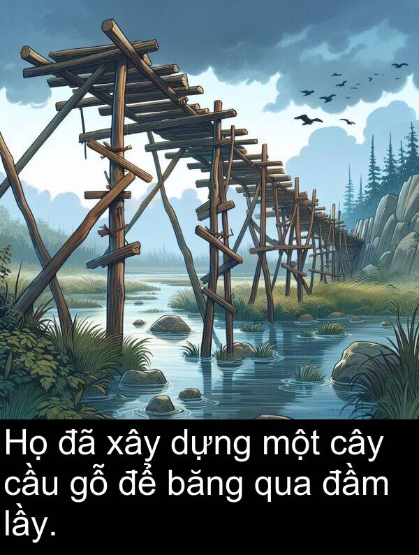 đầm: Họ đã xây dựng một cây cầu gỗ để băng qua đầm lầy.